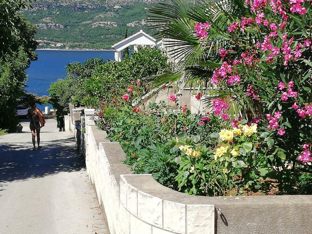 Villa Giulia Medvinjak エクステリア 写真